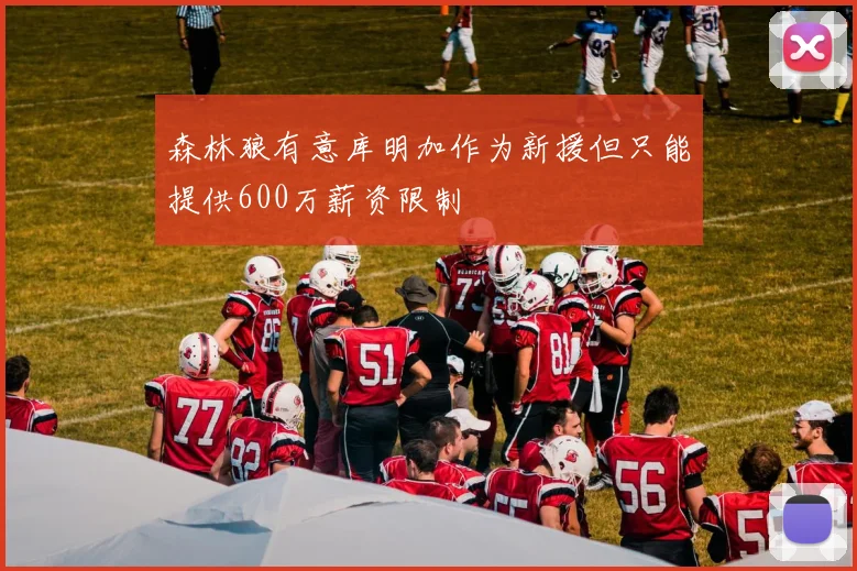 森林狼有意库明加作为新援但只能提供600万薪资限制